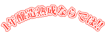 1年熟成ならでは